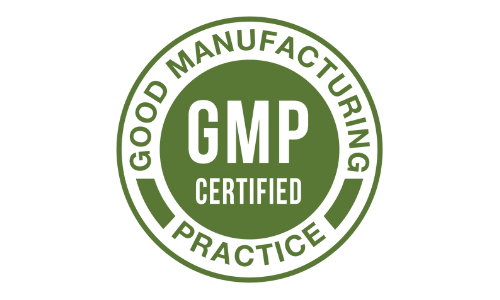 GMP Manufacturing